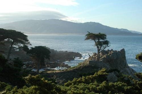 montereycoast
